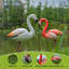 Flamant rose