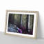 Path Through a Forest in Vancouver - Framed Print-55578158-55578160