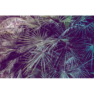 Palm Leave Background - Wrapped Canvas Print