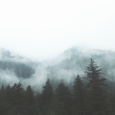 Foggy Mountain - Wrapped Canvas Print