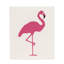 Ensemble de 2 torchons Flamingo