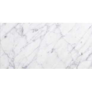 Carreau de mur et de plancher en marbre Carrara 12 po x 24 po Carrara