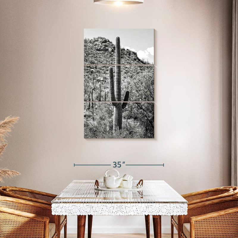 Harnek Black Arizona - Cactus Hill I, 45" H x 28" W