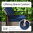 Blanaid Swivel Wicker Outdoor Lounge Chair （Set of 2）-581389256