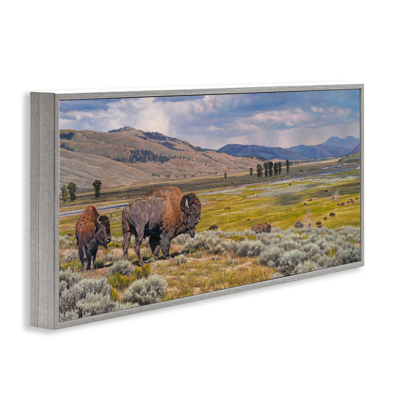 Bison du sud-ouest itinérant, estampe numérique par David Graham, Estampe numérique Farmhouse, H 10 po x l 24 po