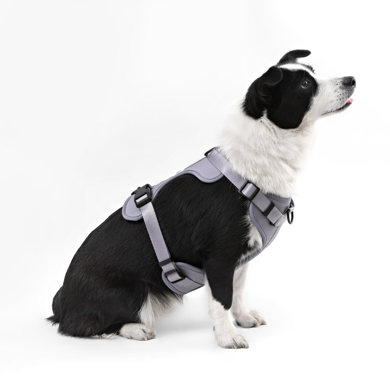 Harnais pour animal de compagnie Arlo, Gris, Grand