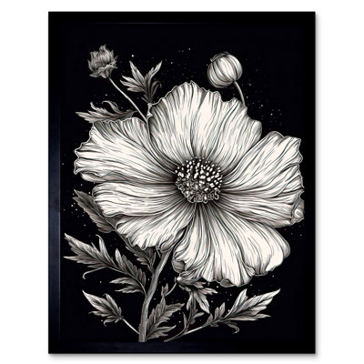 Emilianna Black And White Cosmos Flower And Starry Night Sky - Single Picture Frame Print