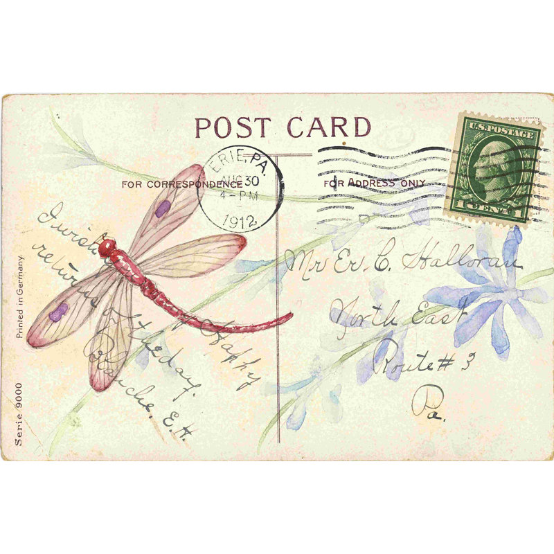 Carte postale libellule IV, H 20 po x l 30 po