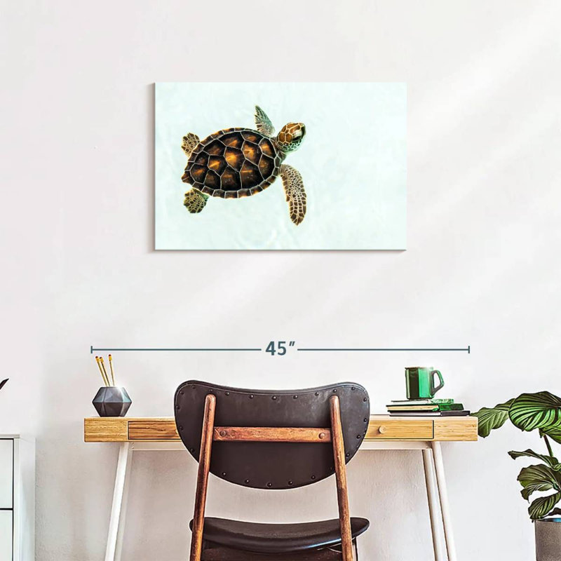 Brampt Baby Turtle, 20" H x 30" W