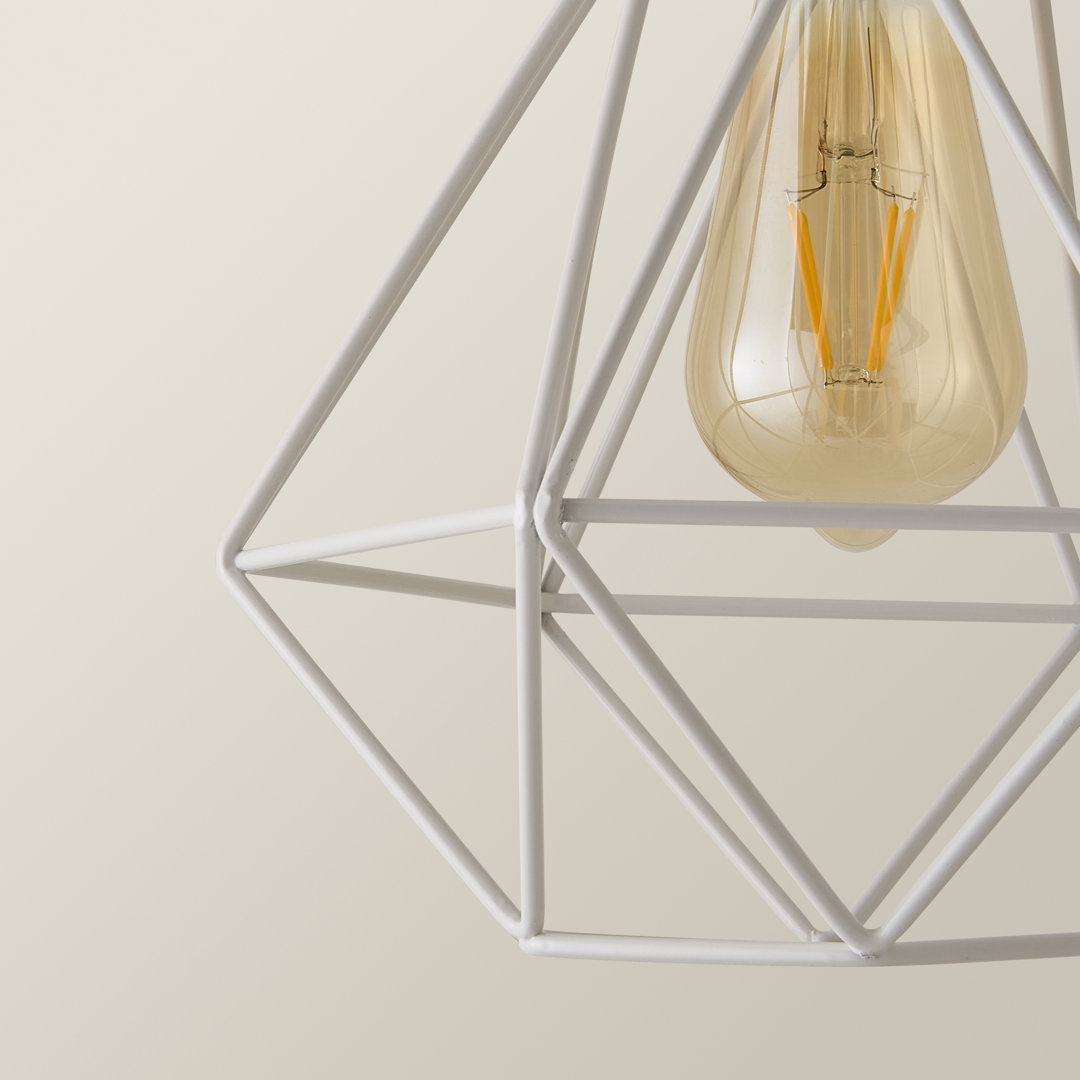 20cm H Metal Novelty Pendant Shade ( Screw On )