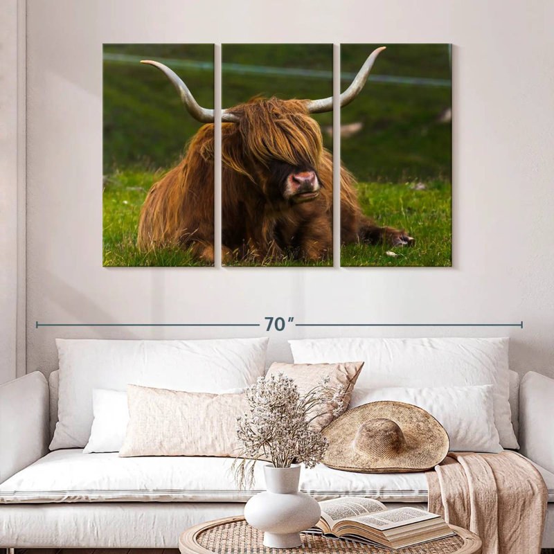 Brampt Highland Cow sur herbe, H 36 po x l 57 po