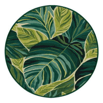 Machine Washable Botanical Green Area Rug