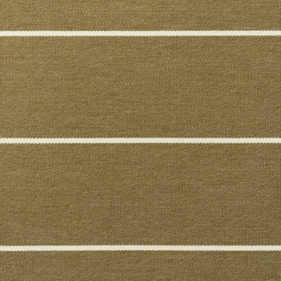 Desert Stripe