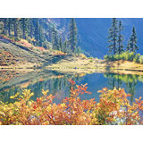 Quiet Autumn Alpine Pond Print by Bruce Heinemann