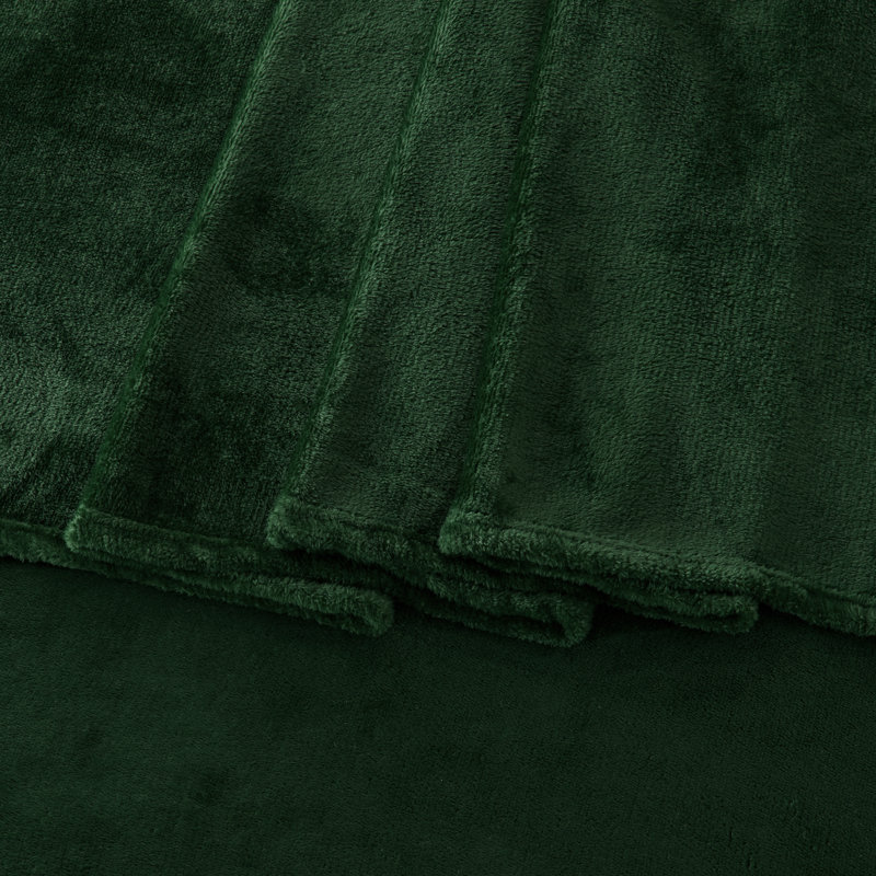 Ultra Soft Micro Plush Velvet Printed Sheet Sets, Queen Sheet Set + Fitted Sheet + 2 Pillowcases, Solid Color, Emerald