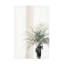 Palmier sur toile-1942440442