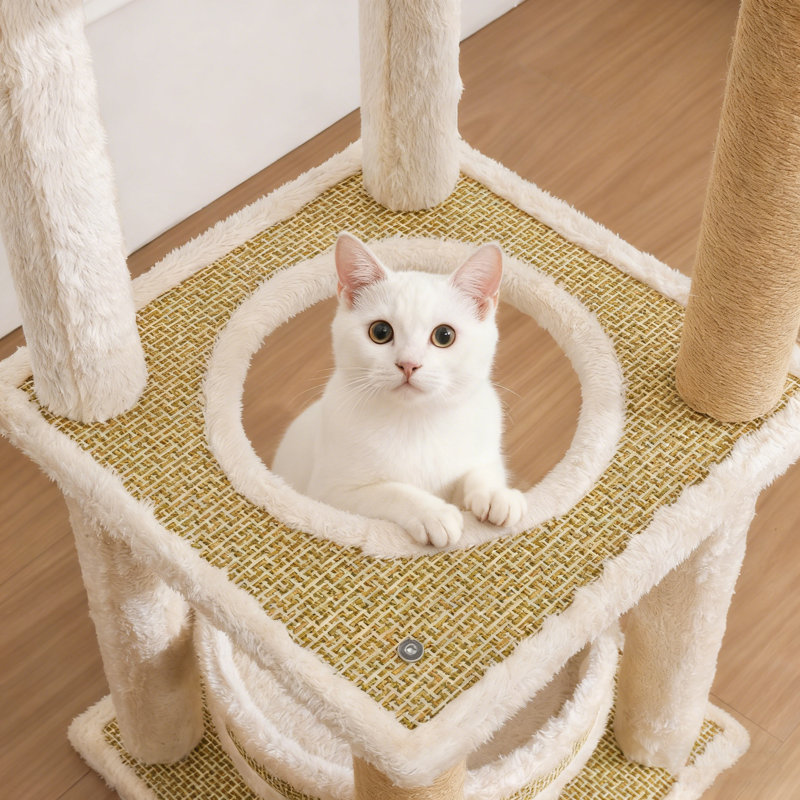 Arbre à chat 5 étages Wicker
