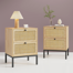 Bosonohy Boho Natural Rattan 2-Drawer Nightstand