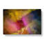 Freedom in Abstract - Wrapped Canvas-55315370