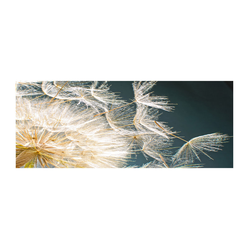 Dandelion Seeds - Wrapped Canvas Print