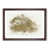 Walnut Framed selected