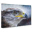 Golden Eagle Vol.4 - Wrapped Canvas-61852461