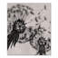 Reproduction d’art graphique sur toile tendue en pissenlit noir et blanc