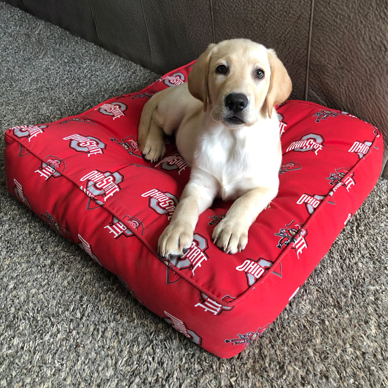 Ohio State Red Cotton Duck Floor Pillow