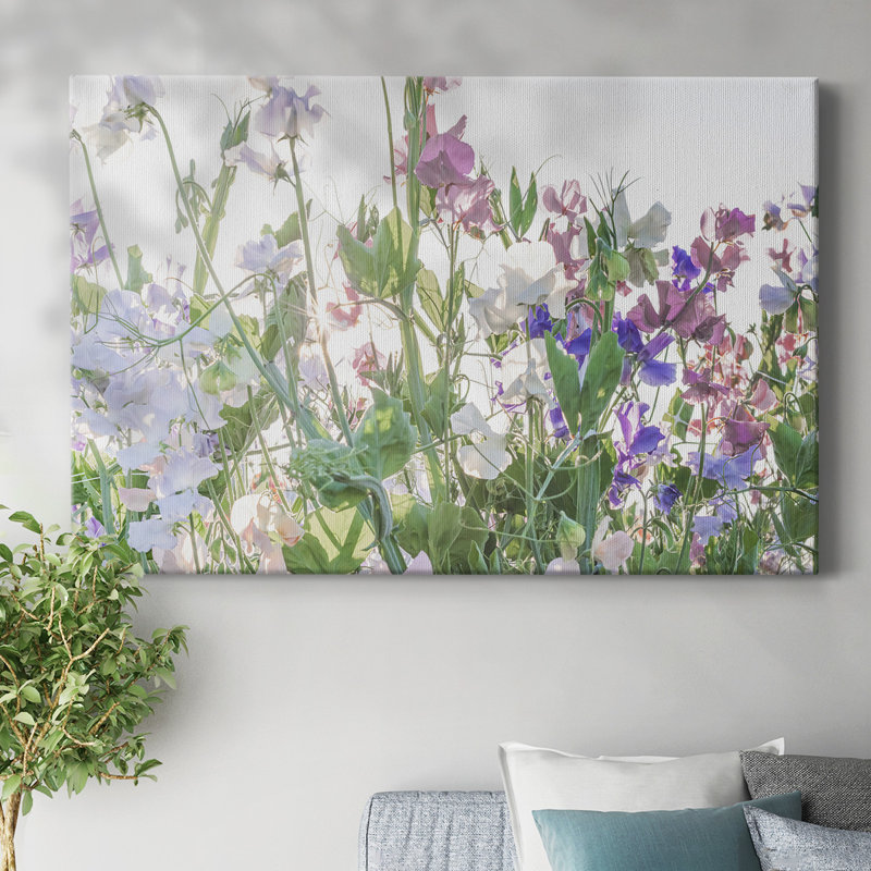 Fields of Spring-Gallery, toile tendue, H 12 po x l 18 po