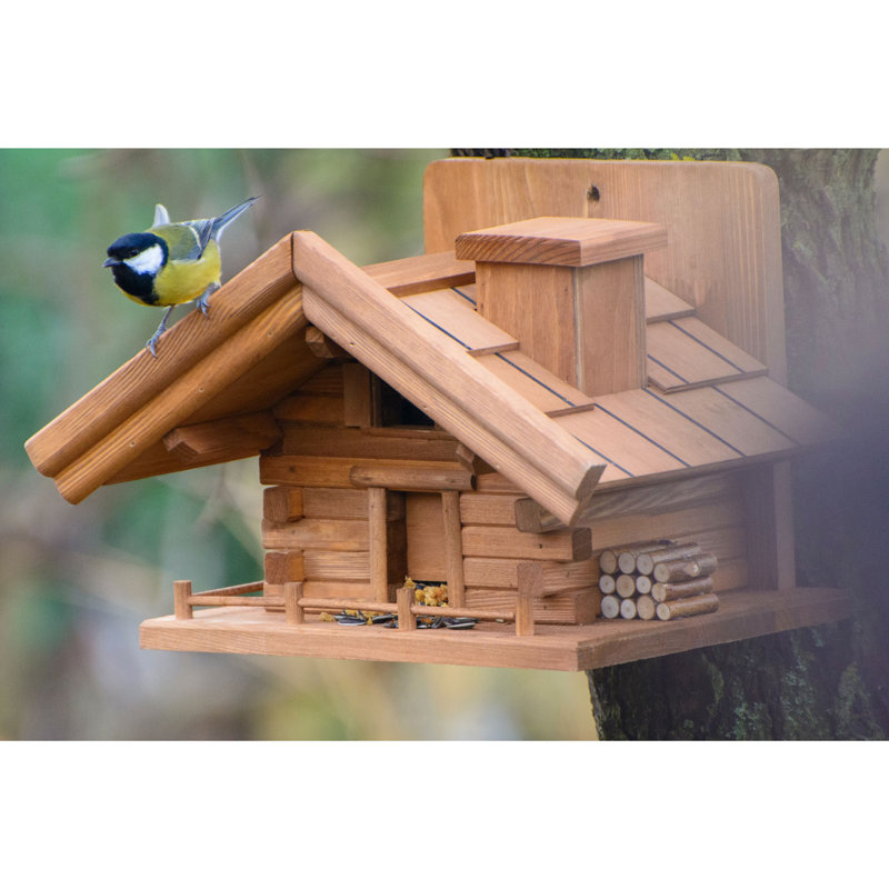 Amarrion Mounted Bird House
