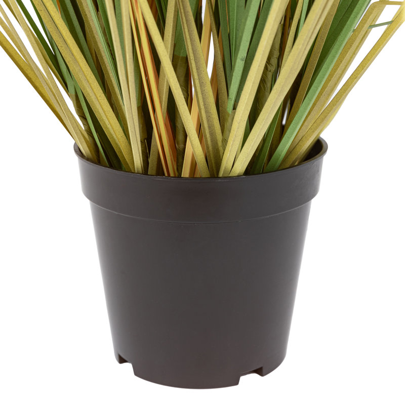 Potted Grass with Cattail Seed Heads (5pk), 81'' H x 50'' W x 50'' D