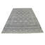 Tapis oriental gris 6X9