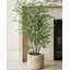 Faux Maidenhair Fern