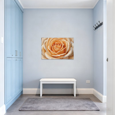 Plants & Flowers Soft Peach Rose Petal Pattern Print Z251224084240944307