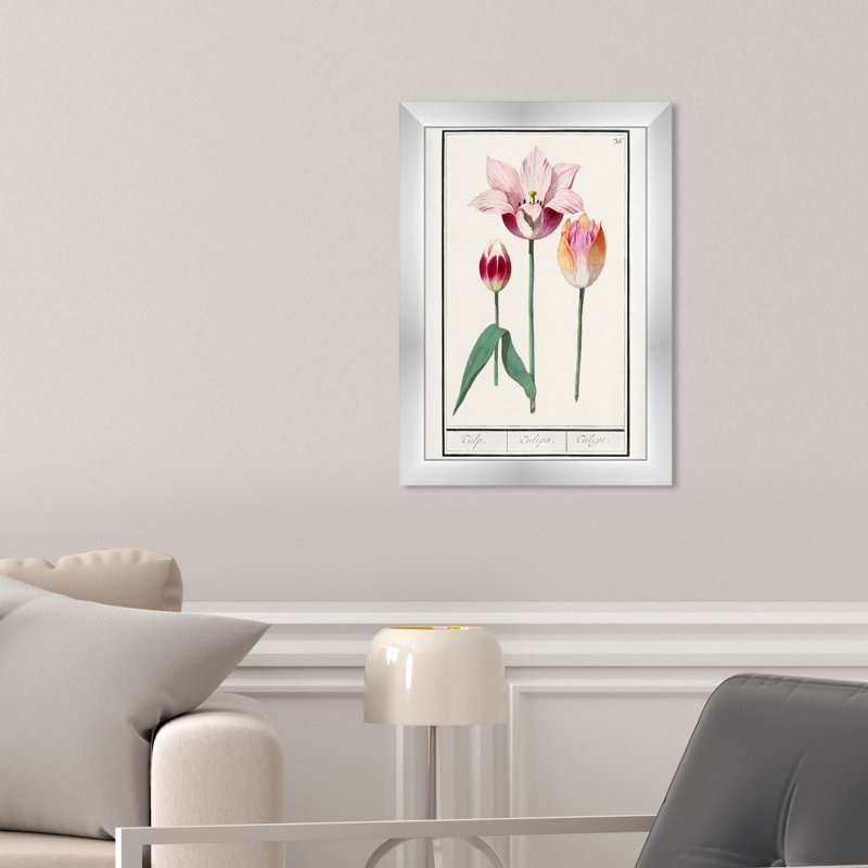 Pink Tulip Botanical Study by Oliver Gal, 17" H x 12" W, Silver