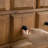 Portable floor-standing storage cabinet