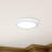 LED Flush Mount