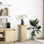 Plant Stand-105619996
