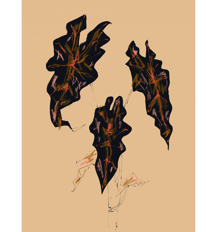 Wrapped Canvas Print, 91.44 cm H x 60.96 cm W