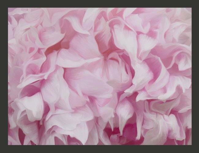 Azalea 3.09m x 400cm Wallpaper, Pink, 288cm x 288cm