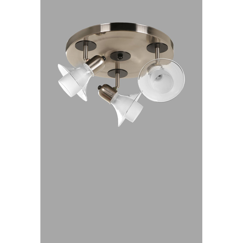 Projecteur directionnel 11,81 po à 3 lumières Hagan