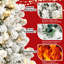 Arbre de Noël classique avec lumière-130933672