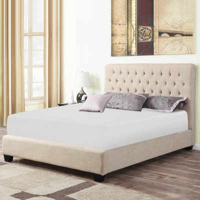 Ansonia 8" Plush Gel memory foam Mattress by The Twillery Co.
