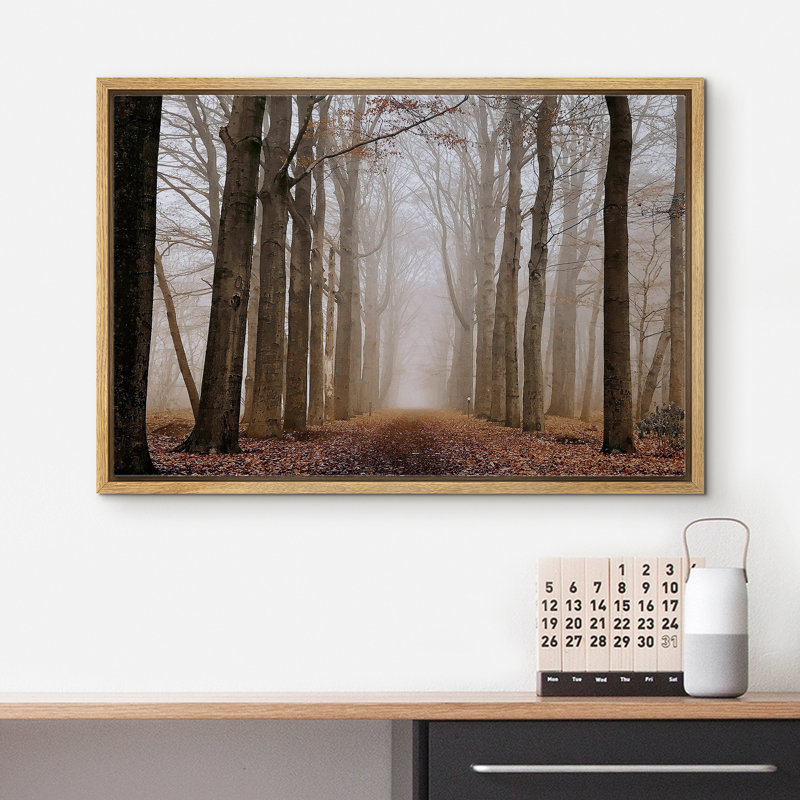Une route à travers les arbres de la forêt d'automne brun brumeux, Cadre flottant naturel, H 24 po x l 36 po