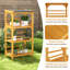 Alihan Plant Stand