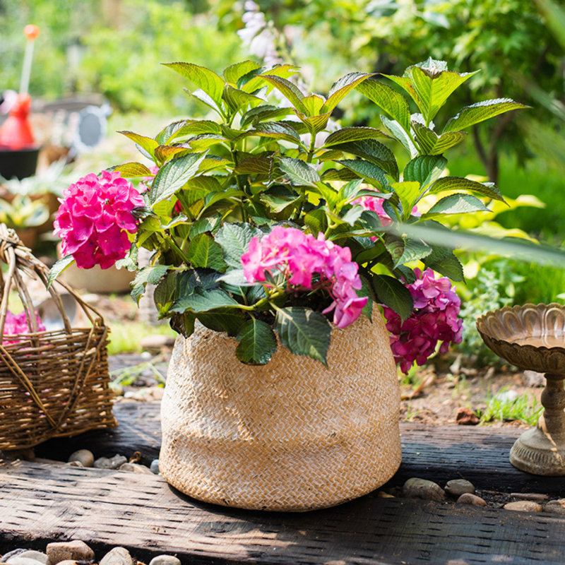 Pot de fleurs en béton Kolbi, H 9,4 po x l 6,1 po x P 4 po