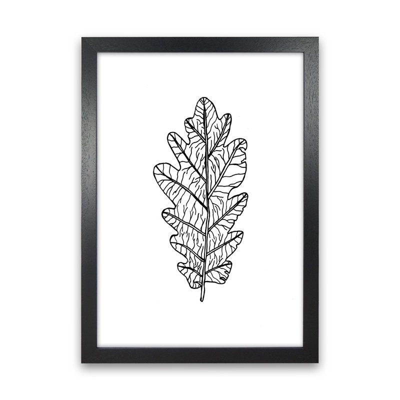 Oak Leaf by Carissa Tanton - Print, 63cm H x 46cm W x 3cm D, Black Framed