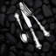 Strasbourg Dinner Fork