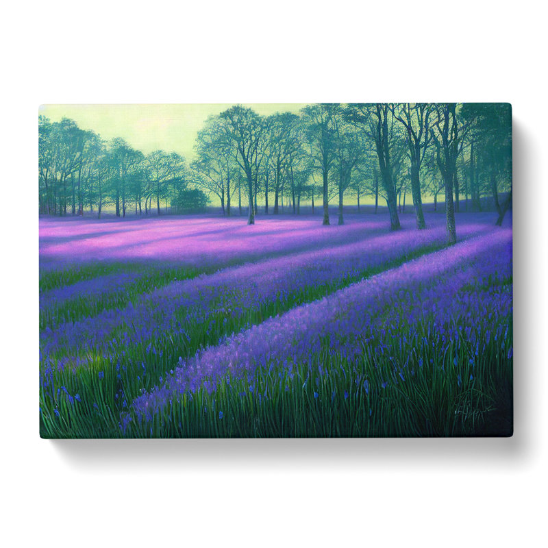 Special Bluebell Field - Wrapped Canvas Painting, 40cm H x 60cm W x 3cm D