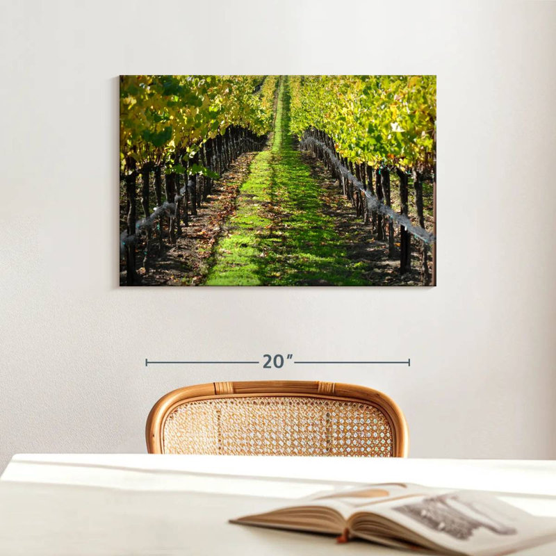 Yarlin Napa Valley Vineyard, H 16 po x l 24 po